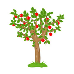 Fototapeta premium A tree flat vector download 