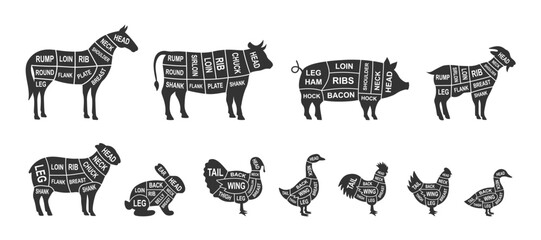 Set of farm animals scheme cuts. Pig, Horse, Turkey, Goat, Sheep, Chicken, Rooster, Duck, Rabbit, Goose, Cow cuts of meats. Meat diagram illustration