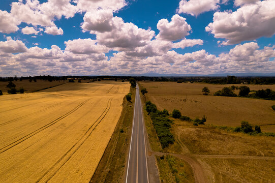 Vista aérea de campos de trigo y carretera en el sur de chile con cielo azul lleno de nubes blancas