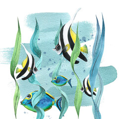 Tropical, bright fish among algae on a blue background. Watercolor illustration. Composition for the design and decoration of postcards, posters, souvenirs of beach, sea and summer prints. © NATASHA-CHU