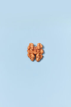 Brown-colored walnut kernel on blue background.