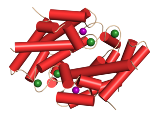 Calprotectin protein. Antimicrobial protein that is capable of sequestering the essential nutrients manganese and zinc. Used as biomarker of inflammatory bowel disease. 