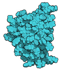Interleukin 2 (IL-2) cytokine protein. Aldesleukin is a recombinant analog of IL-2 that is used in the treatment of cancer. 3D rendering based on protein data bank entry 1z92.