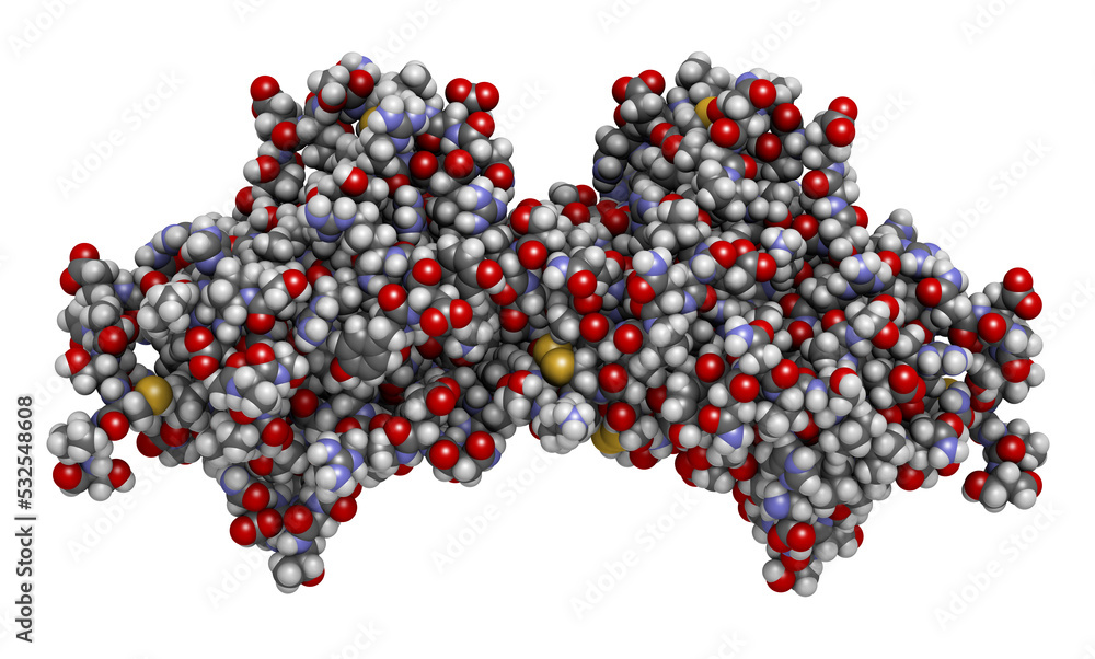 Sticker Miraculin (miraculin-like protein from Murraya koenigii or curry tree). Miraculin is a protein with sweetening properties, extracted from the berry of Synsepalum dulcificum or miracle fruit.