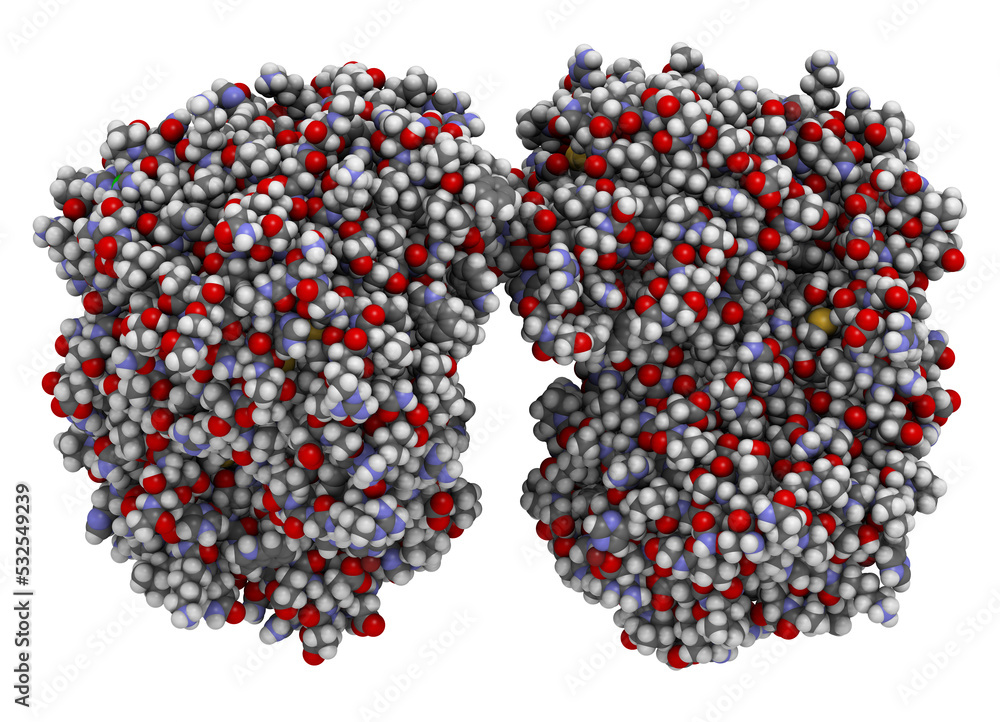 Canvas Prints tripeptidyl-peptidase i enzyme. mutations in corresponding tpp1 gene lead to late infantile neuronal