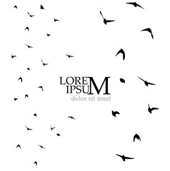 A flock of flying birds. Free birds. Vector illustration