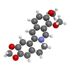 Berberine herbal medicine molecule, 3D rendering.