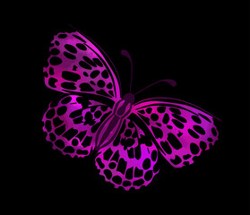 Beautiful blue butterfly. Vector illustration