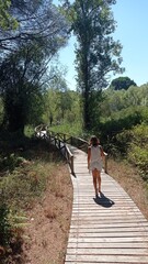 A tourist in summer visiting the beautiful natural park of Doñana. Huelva