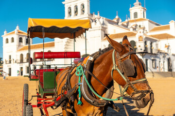 Naklejka na ściany i meble Horses and carriages in the Rocio sanctuary at the Rocio festival in summer, Huelva. Andalusia