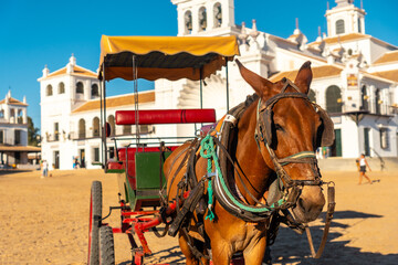 Horses and carriages in the Rocio sanctuary at the Rocio festival in summer, Huelva. Andalusia