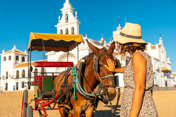 A tourist caressing horses in the El Rocio sanctuary at the Rocio festival, Huelva. Andalusia