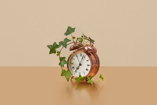 Shiny copper alarm clock with green vine.
