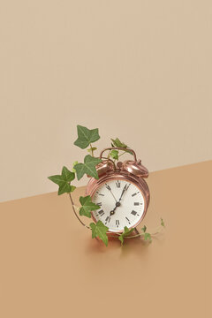Vintage copper alarm clock with green vine.