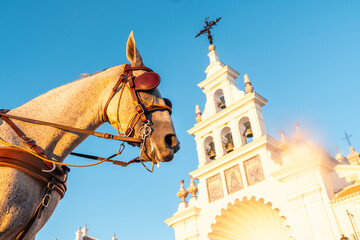 Fototapeta premium A horse next to the white facade in the sunset at the Rocio sanctuary in the Rocio festival, Huelva