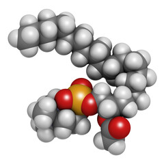 Platelet Activating Factor (PAF) signaling molecule, 3D rendering.