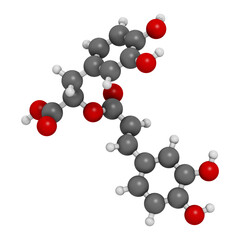 rosmarinic acid herbal antioxidant molecule. Present in a number of plants including rosemary (Rosmarinus officinalis), 3D rendering.