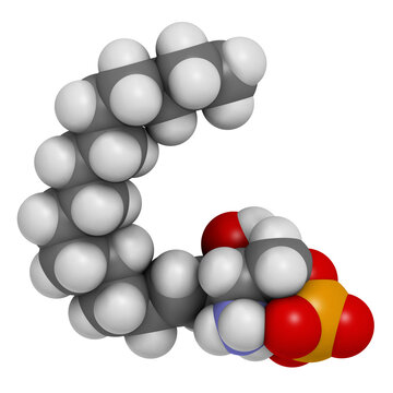 Sphingosine-1-phosphate (S1P) signaling molecule, 3D rendering.