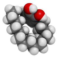 Urushiol poison ivy allergen molecule. Also present in poison oak, lacquer tree and poison sumac. Urushiol is a mixture of closely related components, only one of which is shown, 3D rendering.