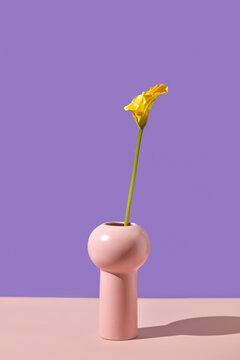 Yellow calla flower in pastel-colored vase.