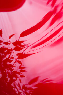 Abstract red footage
