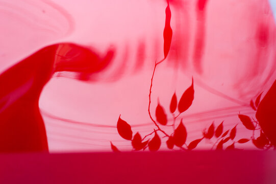 Abstract red footage