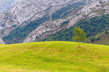 landscape in the mountains