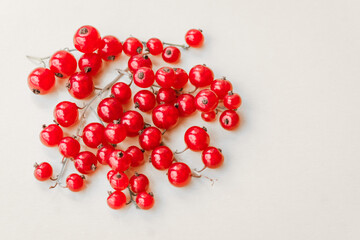 Sprigs of red currant on white background. Fresh bright currant. Sweet juicy currant, organic healthy berries - farming, harvesting and food concept.