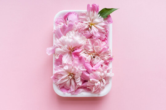 Pink peony flowers in plate