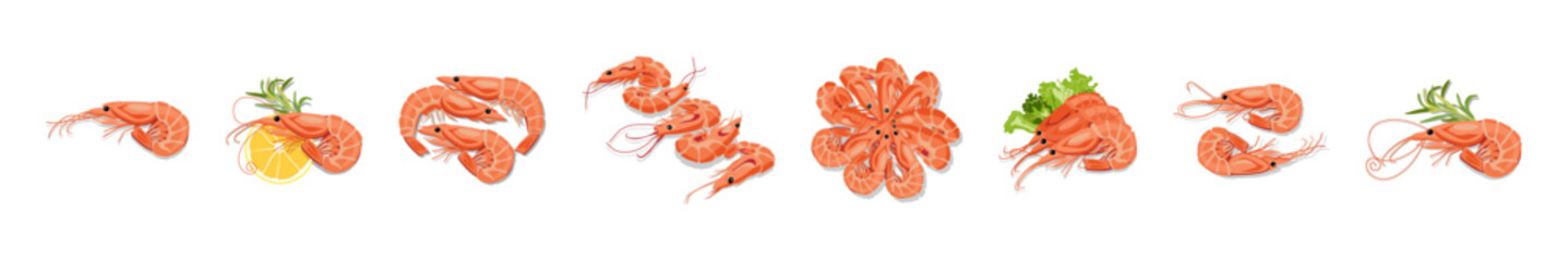 Set of tasty boiled shrimps on white background