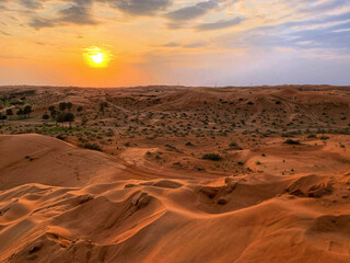 Fototapeta na wymiar sunset in the desert on the outskirts of the city of Dubai, dunes with little vegetation