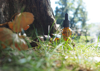 amber glass bottles with dropper