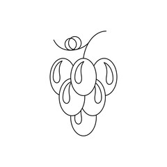 grapes, line, icon