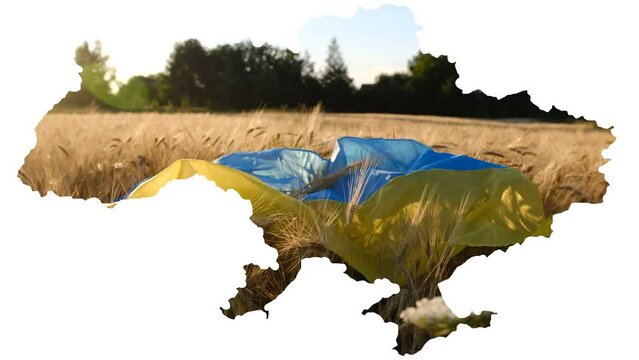 Conceptual image of Ukraine's map, global food crisis caused by Russia's. Ukrainian flag on a wheat field