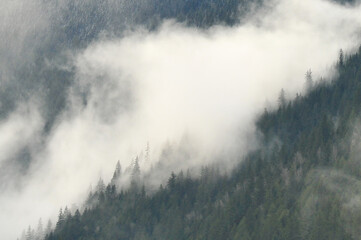 low morning clouds over the  thick forest in rocky mountain valley