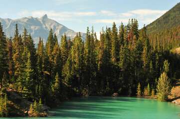 rocky mountain range in background of thick forest pine trees creates shadow on milk colored lake,...