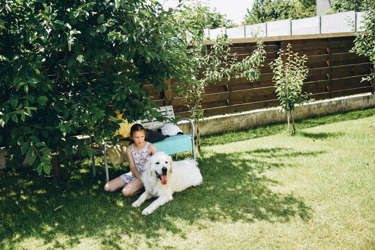 in the yard