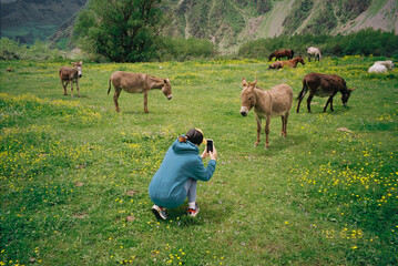a girl on a trip in the mountains takes pictures on donkeys