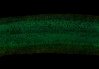 Watercolor background with text space for wrapping paper and accessories and notebooks and clothes print and fabrics