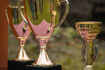 Award cup