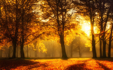 Fototapeta premium An autumn scene, falling leaves, digital art