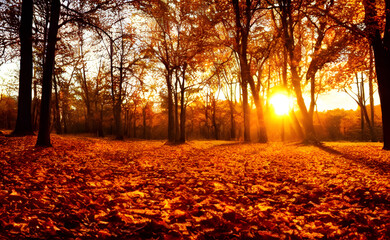 An autumn scene, falling leaves, digital art