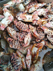 Fresh fish and other seafood are on sale in wet markets. It is placed in a flea for the customer to choose. Placed the price tag for convenience.