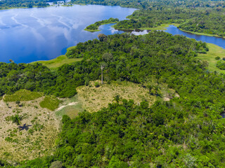 Fototapeta na wymiar Green amazonian landscape, only forest and water