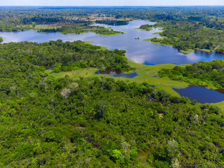 Green amazonian landscape, only forest and water