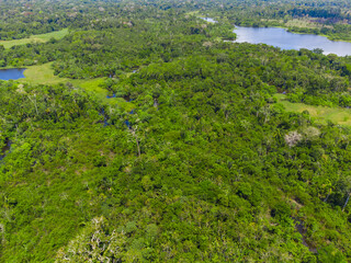 Fototapeta na wymiar Green amazonian landscape, only forest and water