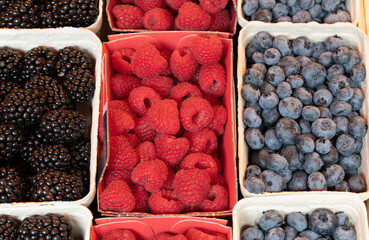 Various cardboard bowls lie next to each other. The bowls are filled with blackberries, raspberries and blueberries. They are for sale at a market