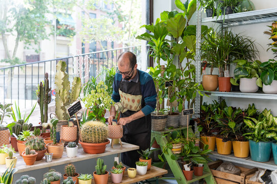 Man Watering Plants In A Plant Shop.