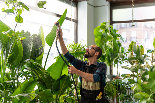 Man Watering Plants In A Plant Shop.