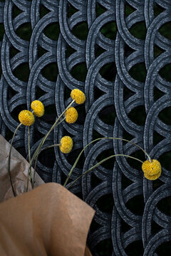 Yellow flowers on dark background